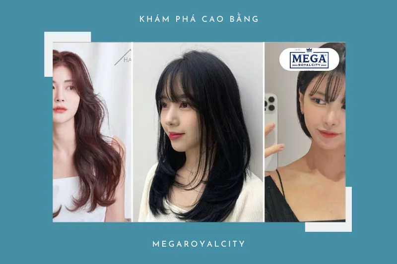 Salon Đăng Dương