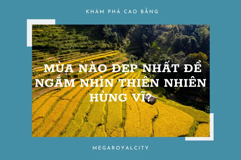 Đi Cao Bằng mùa nào đẹp nhất để ngắm nhìn thiên nhiên hùng vĩ