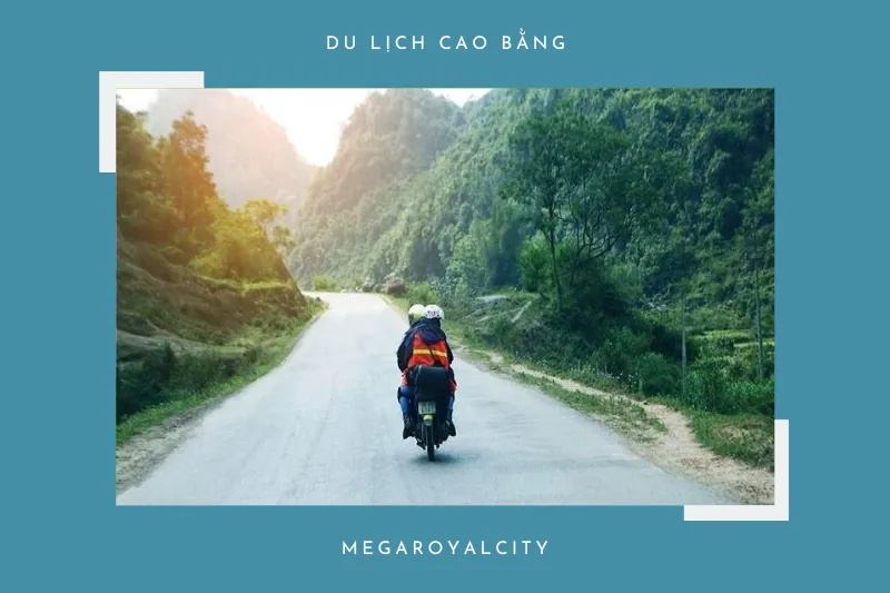 Phương tiện di chuyển