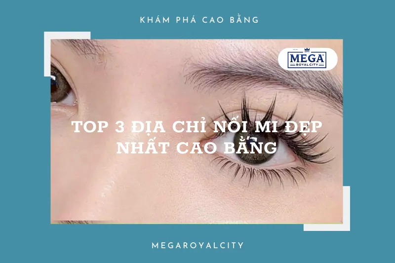 Top 6 địa chỉ nối mi chuyên nghiệp hàng đầu Cao Bằng