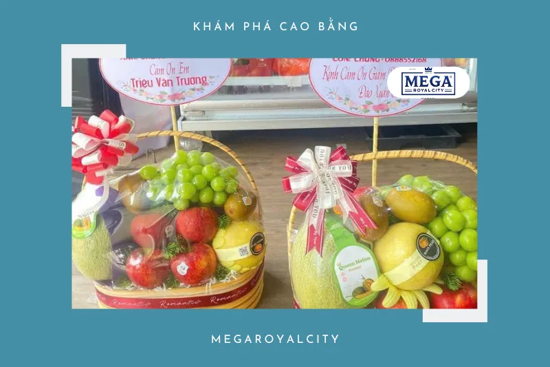 Trái Cây Sạch Thủy Dưỡng