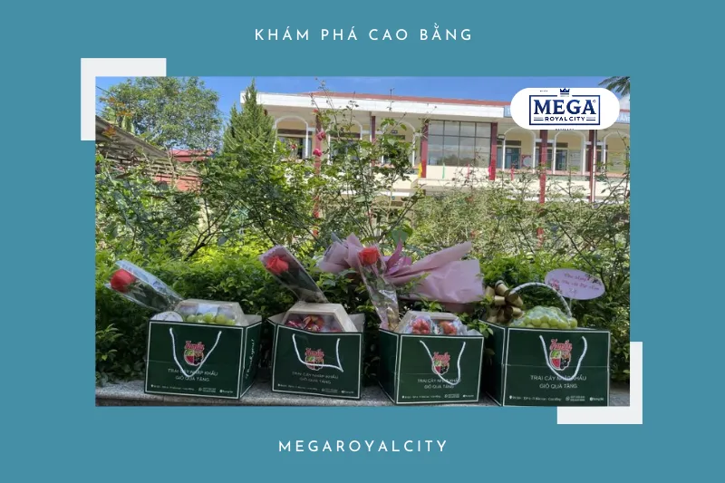 Trái Cây Nhập Khẩu Trang Bé