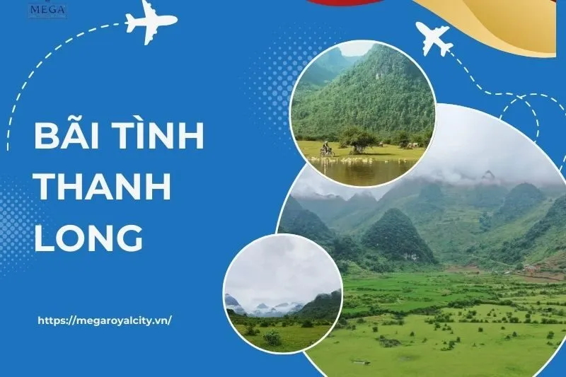 Bãi tình Thanh Long