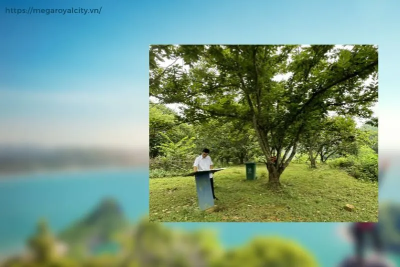 Các hoạt động tham quan và trải nghiệm tại Điểm di sản Vườn dẻ