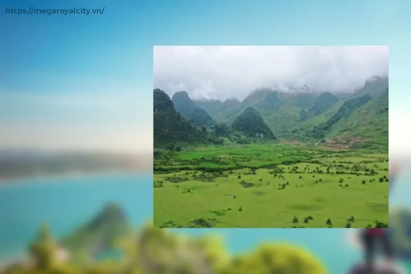 Cách đi đến Bãi Tình Thanh Long và những lưu ý khi di chuyển