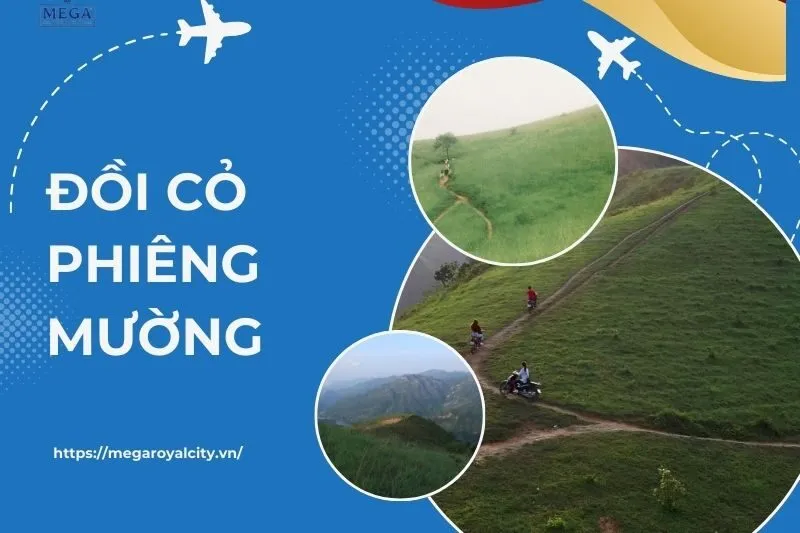 Đồi cỏ Phiêng Mường