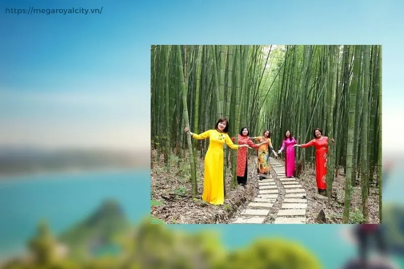 Hoạt động trải nghiệm không thể bỏ qua tại rừng trúc sào