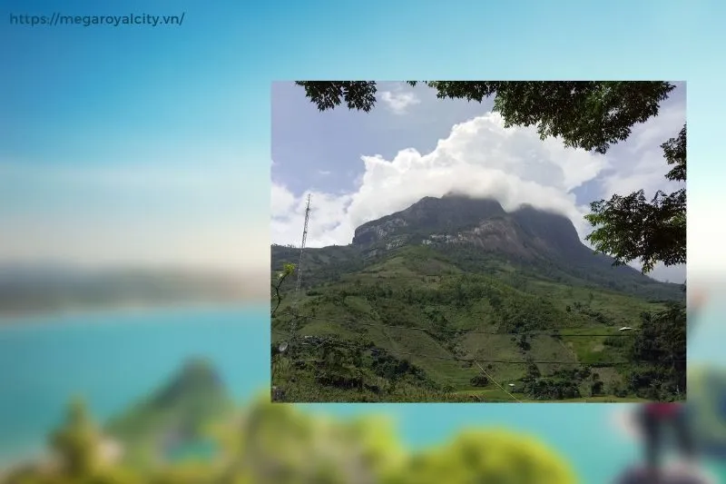 Hướng dẫn chi tiết cho chuyến đi khám phá Đỉnh Phja Dạ