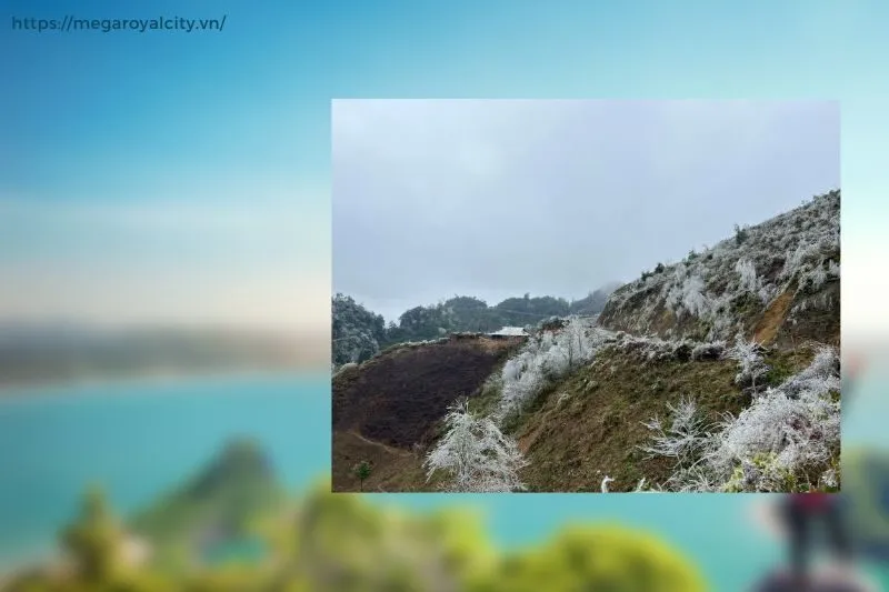 Khám phá Đỉnh Phja Dạ ở đâu và tại sao được gọi là nóc nhà Cao Bằng?