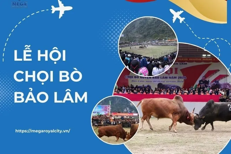 Lễ hội chọi bò Bảo Lâm