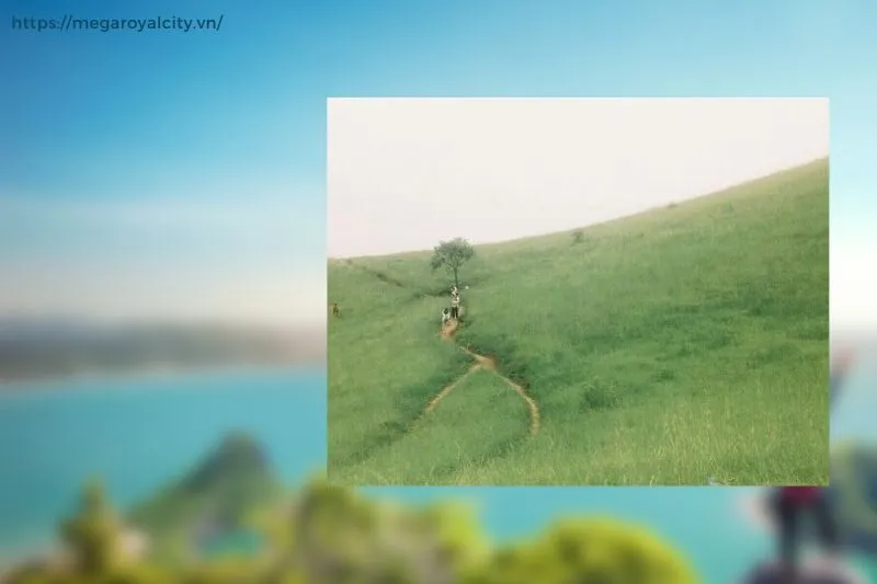 Những hoạt động thú vị tại đồi cỏ Phiêng Mường