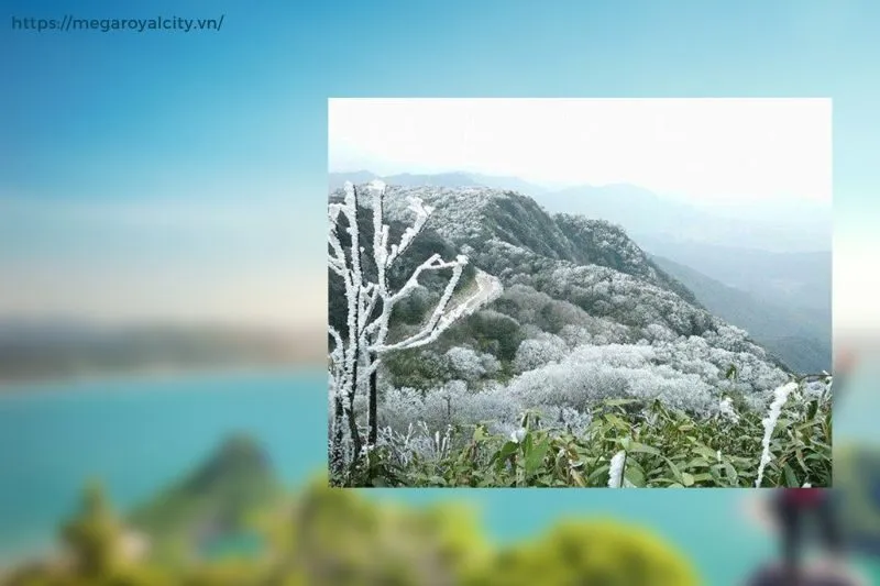 Những trải nghiệm không thể bỏ qua tại Núi Phia Oắc - Phia Đén