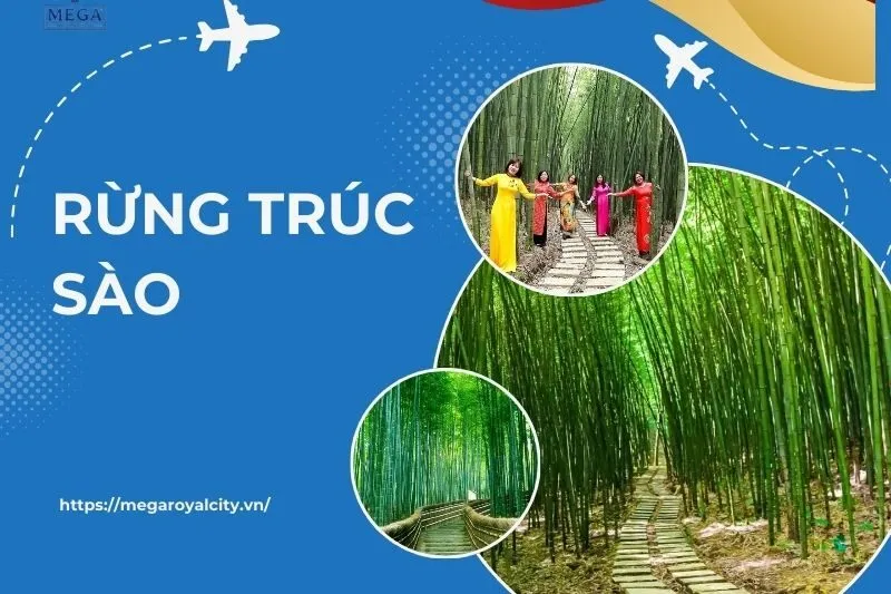 rừng trúc sào