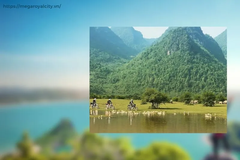 Vẻ đẹp tự nhiên và các hoạt động không thể bỏ lỡ tại Bãi Tình Thanh Long