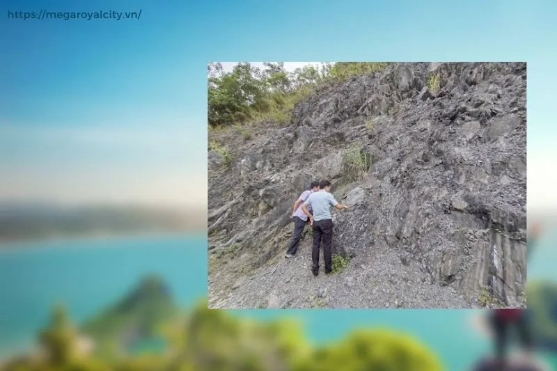 Cách thức tham quan di sản san hô cổ Lang Môn