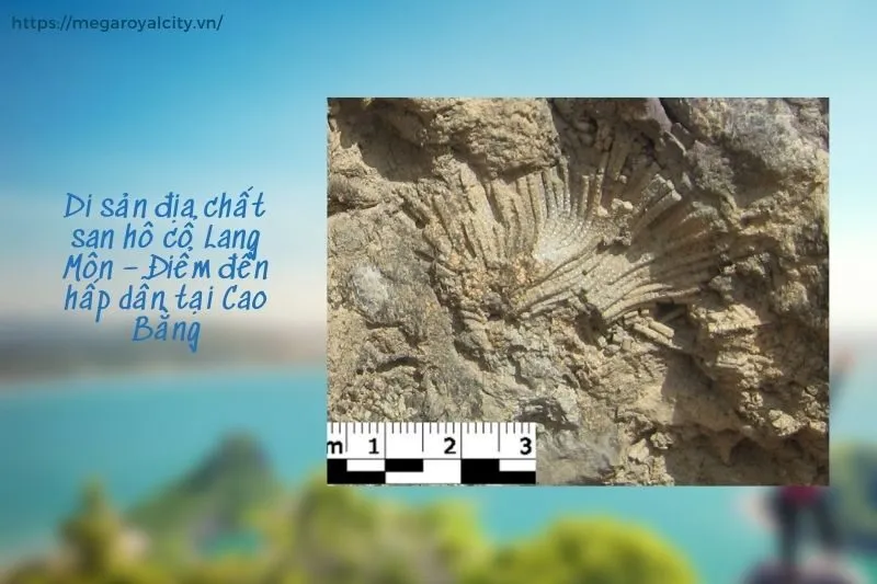 Di sản địa chất san hô cổ Lang Môn – Điểm đến hấp dẫn tại Cao Bằng