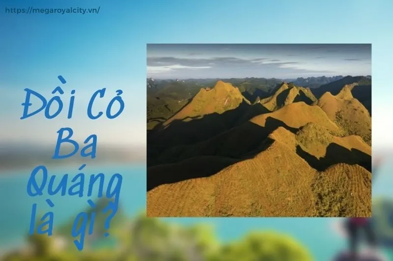 Đồi Cỏ Ba Quáng là gì?