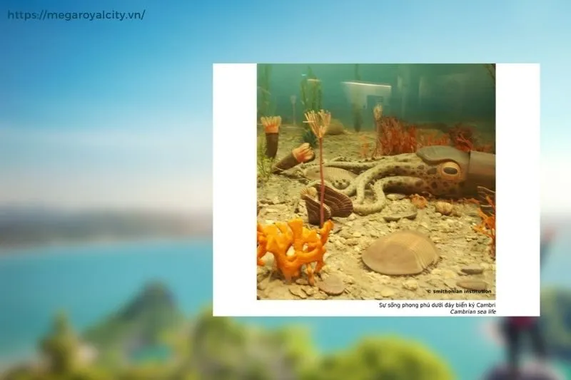 Giá Trị Di Sản Địa Chất Của Lục Địa Cổ Cao Bằng