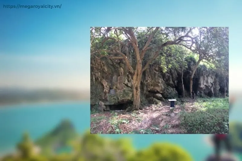 Hệ sinh thái và đa dạng sinh học tại Vườn quốc gia Phia Oắc – Phia Đén