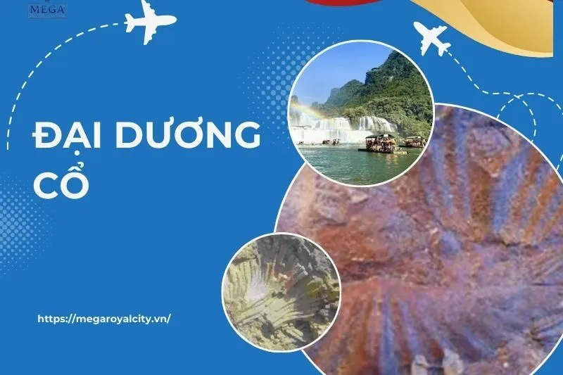 Khám Phá Đại Dương Cổ Cao Bằng: Di Sản Địa Chất Lang Môn & Phja Oắc