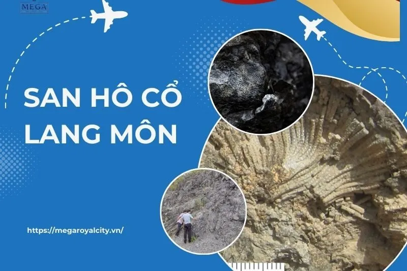 Khám Phá Di Sản Địa Chất San Hô Cổ Lang Môn Tại Cao Bằng | Megaroyalcity