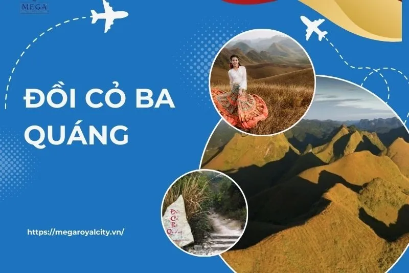 Khám Phá Đồi Cỏ Ba Quáng – Vẻ Đẹp Thiên Nhiên Cao Bằng