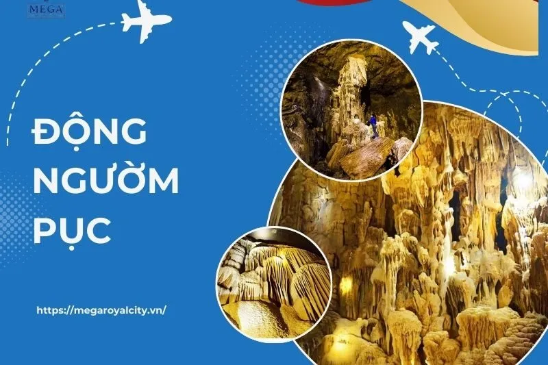 Khám Phá Động Ngườm Pục: Hướng Dẫn Du Lịch & Những Đặc Sắc Nổi Bật