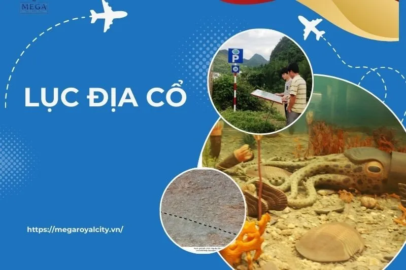 Khám Phá Lục Địa Cổ Cao Bằng: Di Sản Địa Chất Và Thắng Cảnh Hùng Vĩ