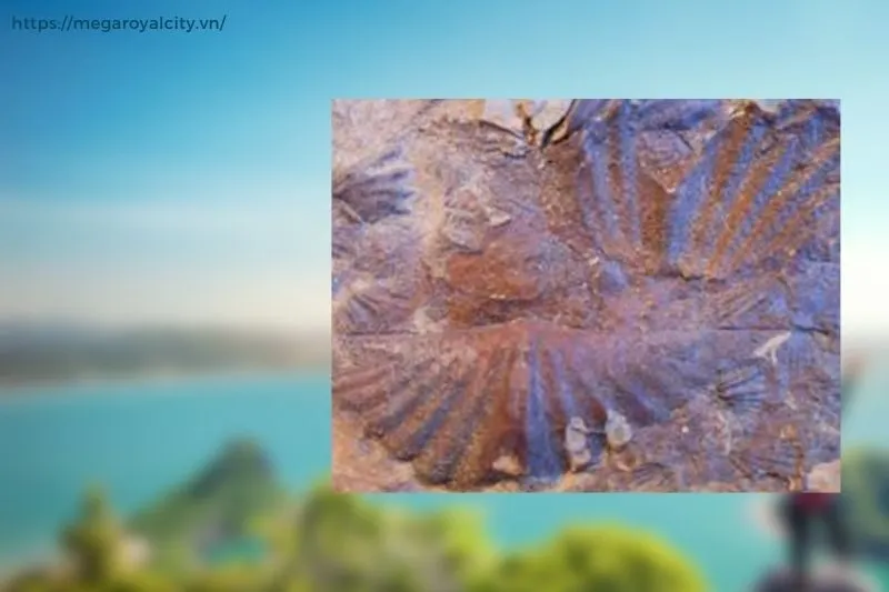 Tìm hiểu về Di chỉ Đại Dương Cổ Lang Môn, Cao Bằng